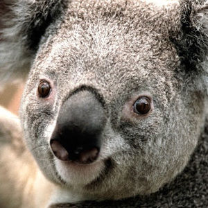 Meet your Posher, Hailey